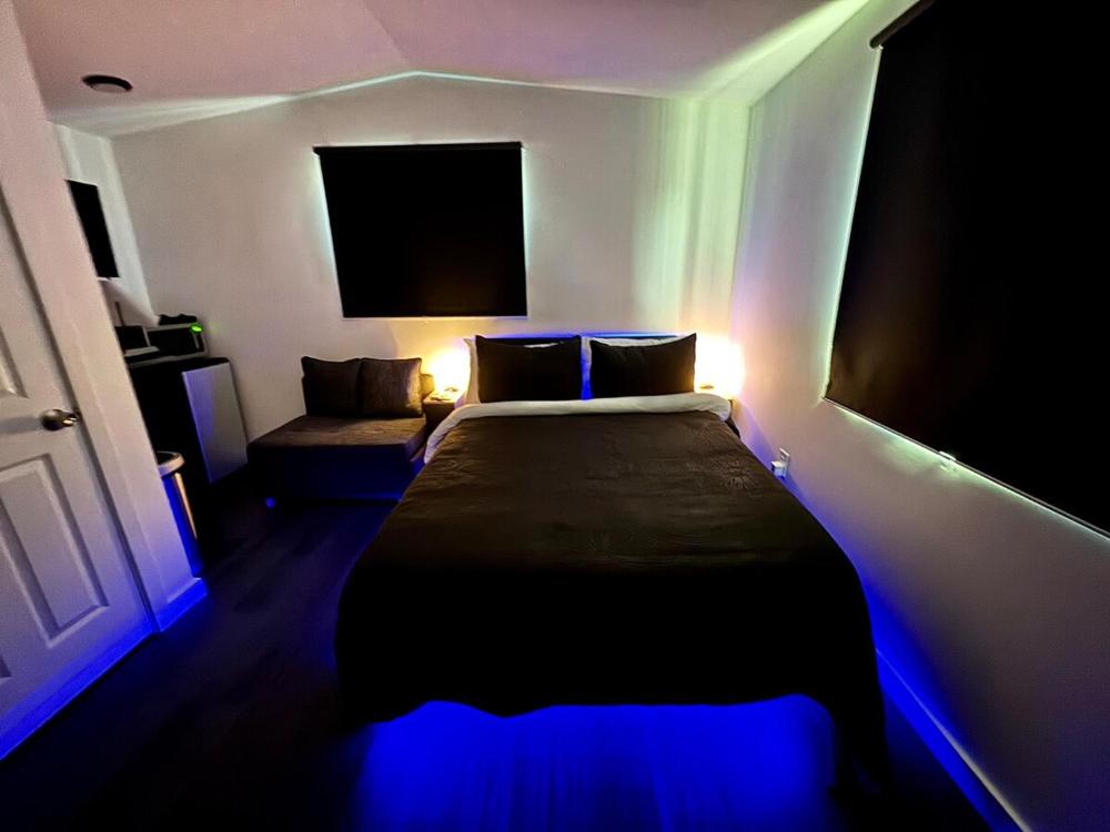 One-Bedroom Apartment interior